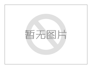 SYA壓濾機專用泵